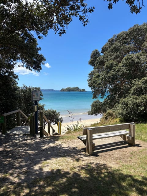 Beautiful Opito Bay, this shows the access stairs from Opito Bay road. 