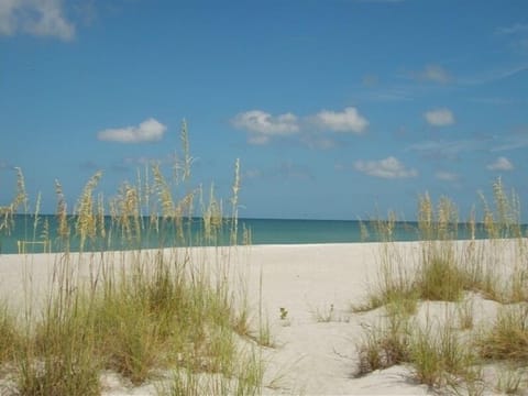 Beach with turtle nest on the left side of the photo.