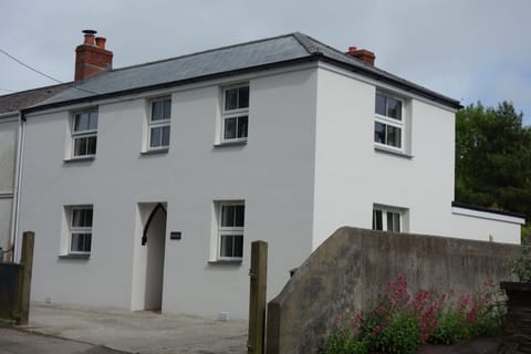 Hollyhocks improvements  May 17