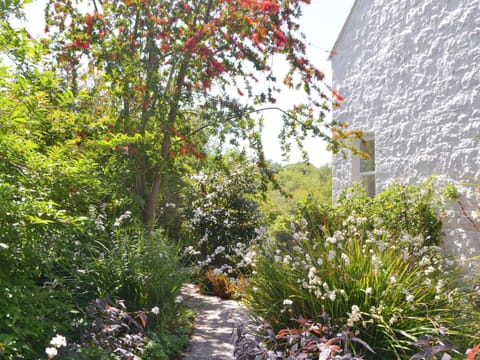Mature well-maintained garden area | Fairview, Rockcliffe, near Dalbeattie