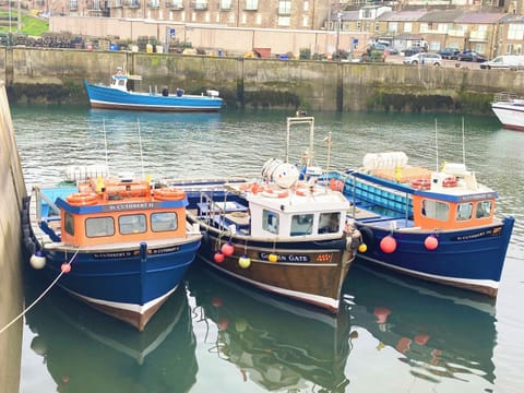 Fishing boats in the harbour | Dipper Cottage, Seahouses