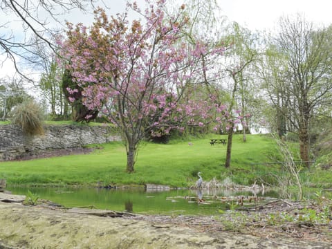 Garden and grounds | Upper Mill Barn - Pantgwyn Farm Cottages, White Mill, near Carmarthen
