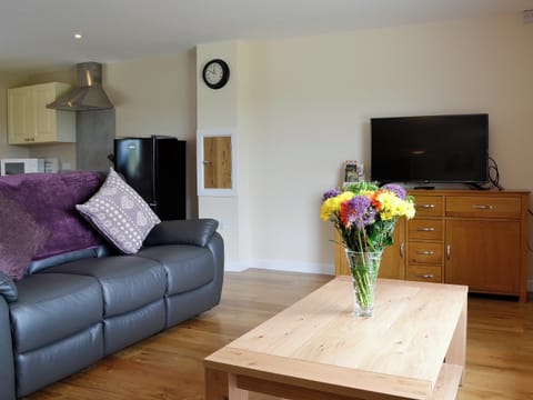 Open plan living space | Dolview, Pen-y-Bont, near Llandrindod Wells