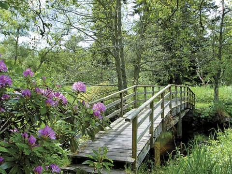 The grounds | Courtyard Cottage, Mellerstain, nr. Kelso