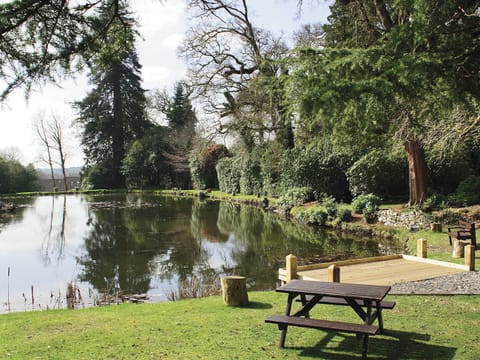 View from Rosecraddoc Manor | Nr. Liskeard