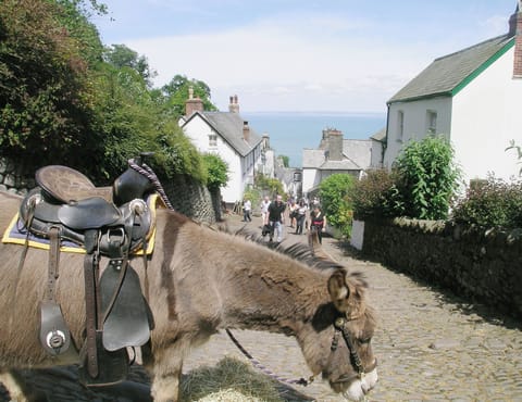 Clovelly | Devon, England