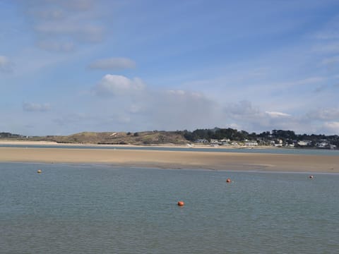 Camel estuary