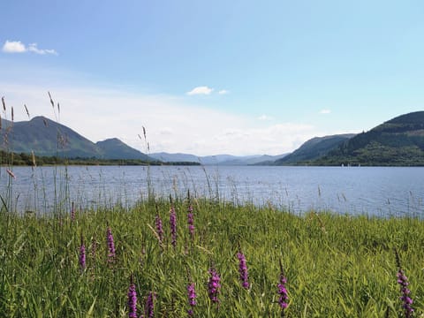 Bassenthwaite | Cumbria, England