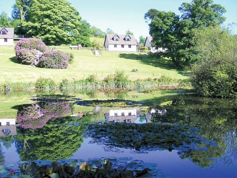 The setting of Rosecraddoc Manor | Nr. Liskeard