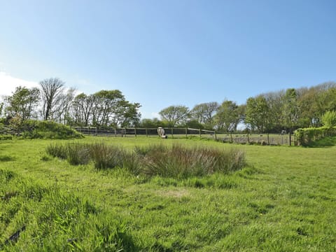 Extensive mature grounds | Popehill Farm Apartment, Popehill, near Johnston