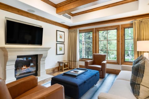 Fireplace with stone mantel beneath wall-mounted TV, flanked by large wood-trimmed windows and leather armchairs.