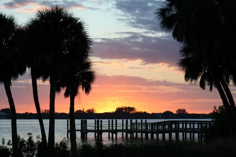 Cherokee Park across the street from Lemon Bay Cottage.