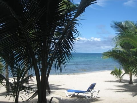 3 steps off the veranda, your toes are in the sand!