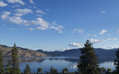 View from your suite at Lake House