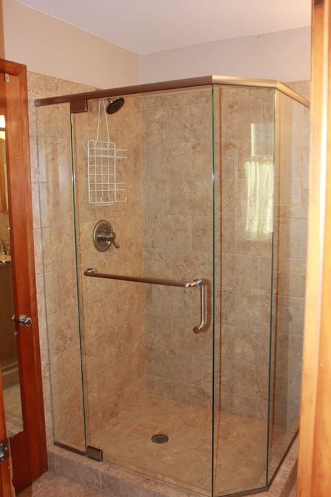 Master bathroom shower
