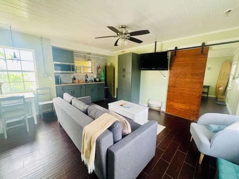 Family room / guest room