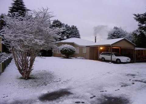 winter 2010