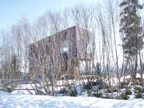 Winter view
