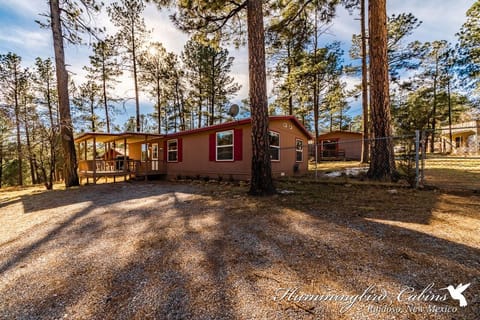 License to Chill with gravel driveway and fenced in yard.