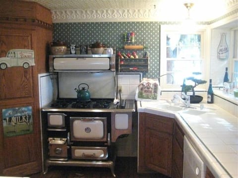 Gourmet Kitchen - Gas Antique Stove