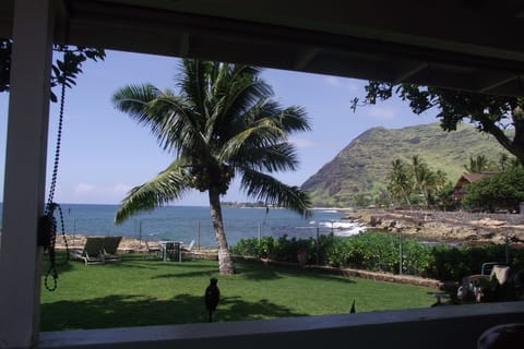 view from Lanai-Porch 