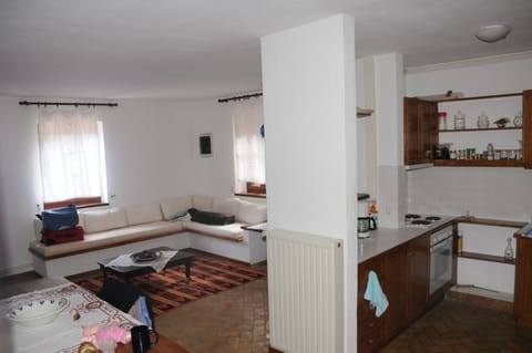 living room and kitchen / basement appartment