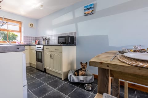 The Granary  - Dog in Kitchen