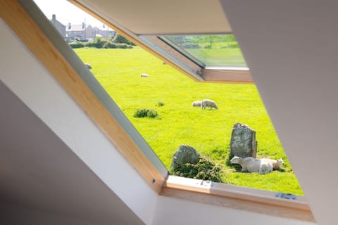 Bwthyn Siwan view from skylight