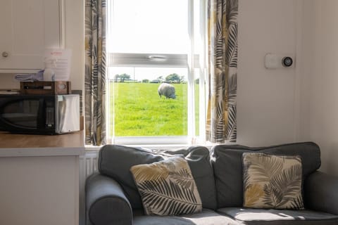Bwthyn Dwynwen Sofa and view from window