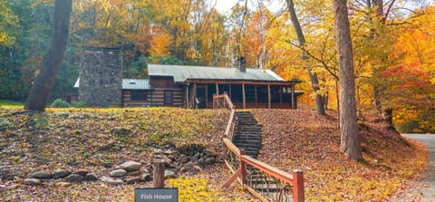 Staircase down to creek