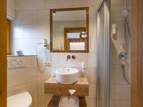 Double room for single use with shower, WC - Hotel Feichter Apartment in Salzburgerland