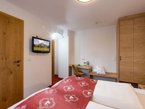 Double room for single use with shower, WC - Hotel Feichter Apartment in Salzburgerland