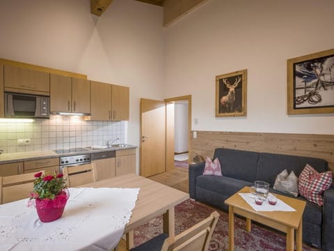 App 2, 2 Schlafr., 1 Wohnschlafr. / DU od. Bathroom WC - Apartments Antoniushof Apartment in Ellmau