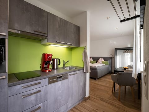 Apartment Ilvy - studio, shower, toilet, terrace Apartment in Salzburgerland