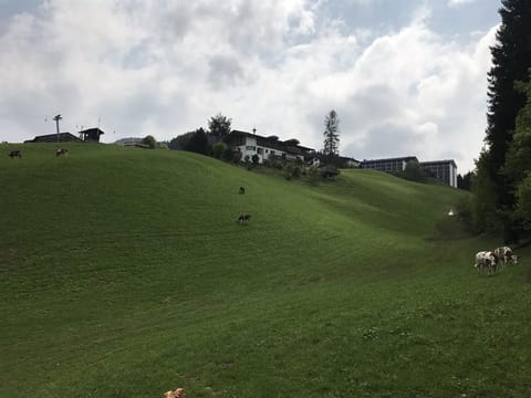 Bergsigt apartment south side - Bergsigt south side Apartment in Ellmau