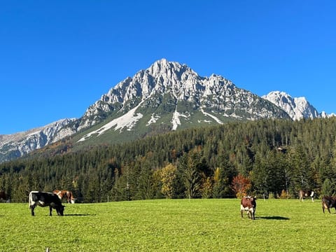 Country house Treffer, Austria Apartment in Ellmau