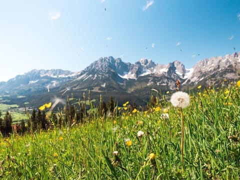Country house Treffer, Austria Apartment in Ellmau