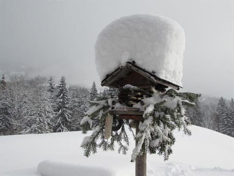 Hirschbühel apartment - apartment / apartment, shower, toilet, 2 bedrooms Farm Stay in Salzburgerland