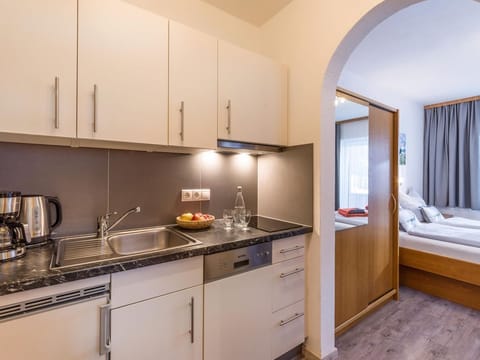 Hohe Salve - House Gratz Apartment in Salzburgerland