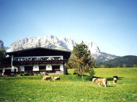 Wilder Kaiser or Kitzbüheler Horn double room with shower / WC - Pension Sunnbichl Bed and Breakfast in Ellmau