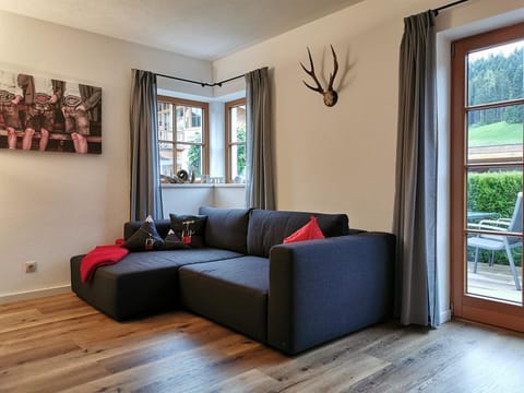 Apartment Edelweiss - Apartment, bath, toilet, terrace, 2 bedrooms Apartment in Ellmau