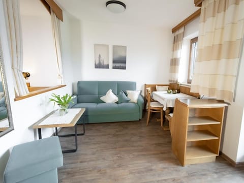 Apartment type 1 40m² - Haus Alpin Apartment in Ellmau