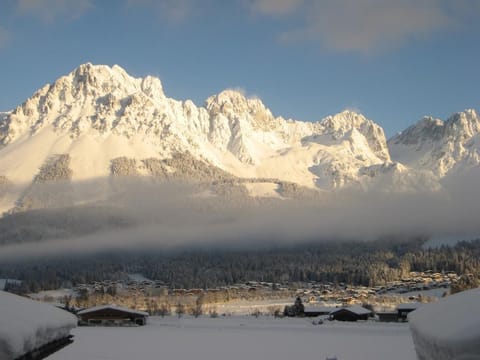 Apartment type 1 40m² - Haus Alpin Apartment in Ellmau