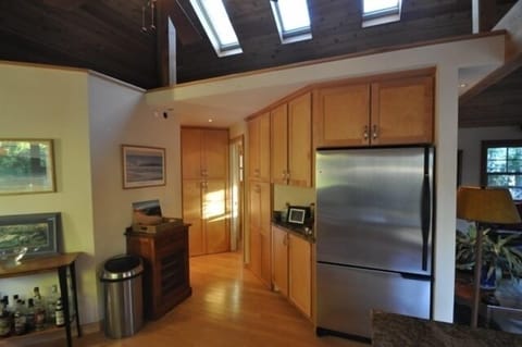 Electric Skylights