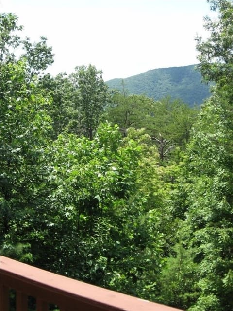 Partial View on Back Deck