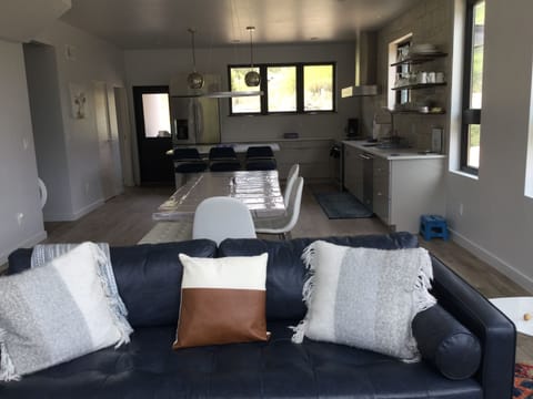 Living room and kitchen