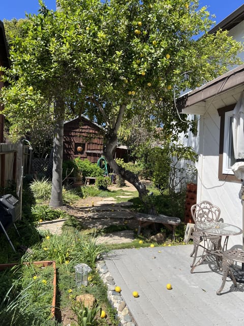 Back yard to cottage