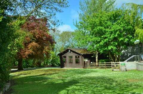 Indoor Swimming Pool