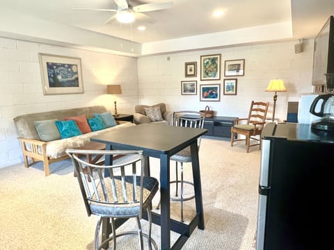 Downstairs living area with queen futon