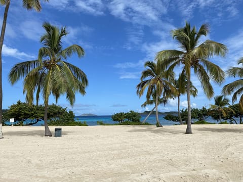 View from the building towards the ocean.